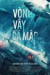 Vòng Vây Cá Mập (Vòng Vây Cá Mập) [2024]